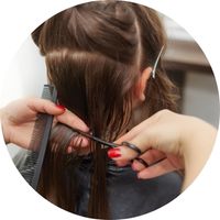 Haircut Model 3